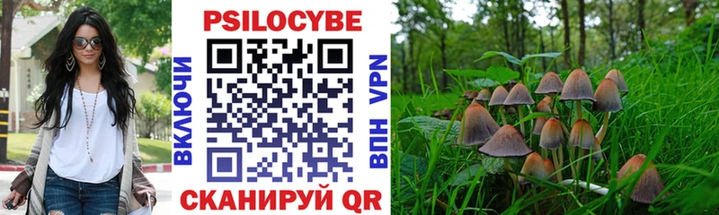 Купить закладки  Черняховск  Псилоцибиновые грибы GOLDEN TEACHER 
